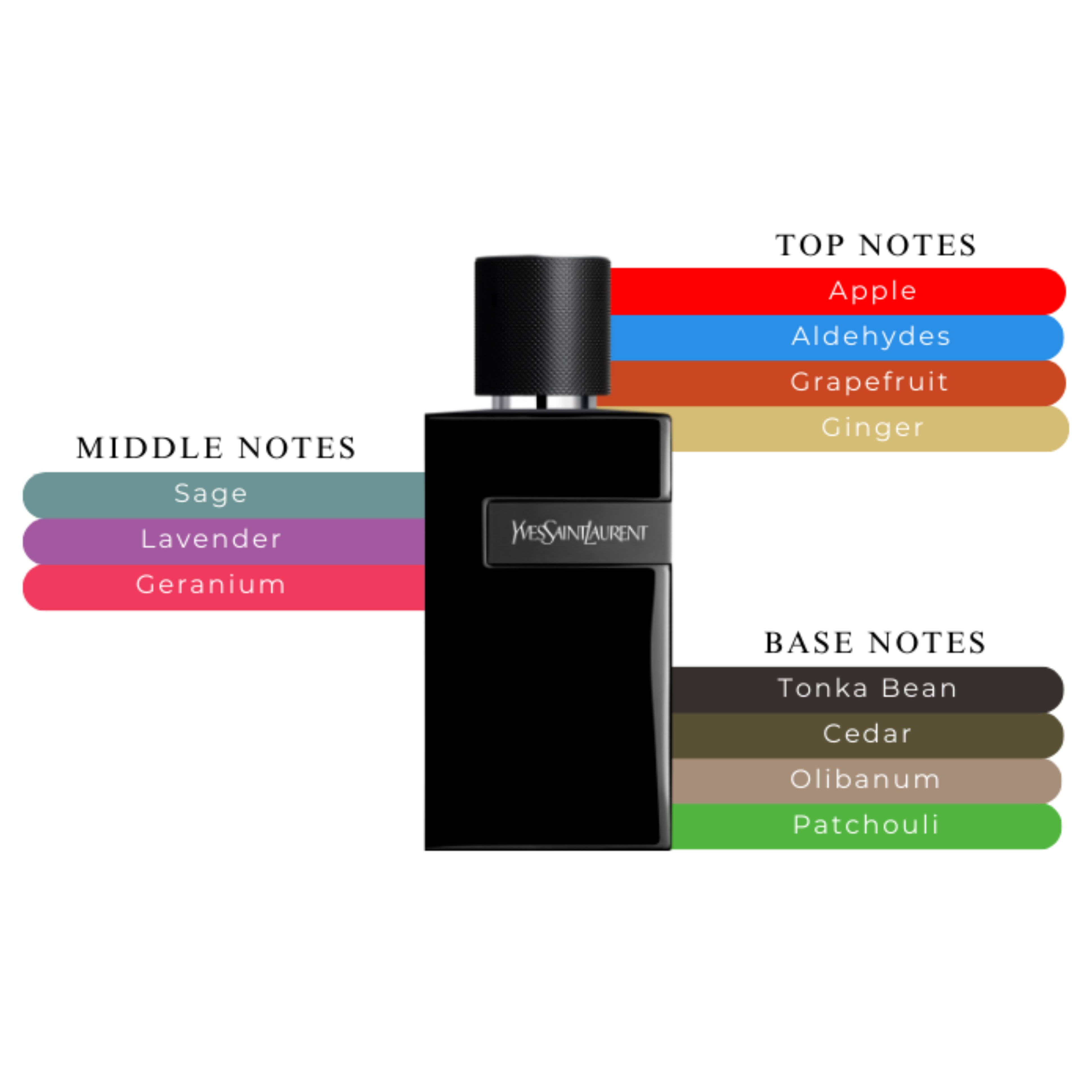 Y Le Parfum Spray