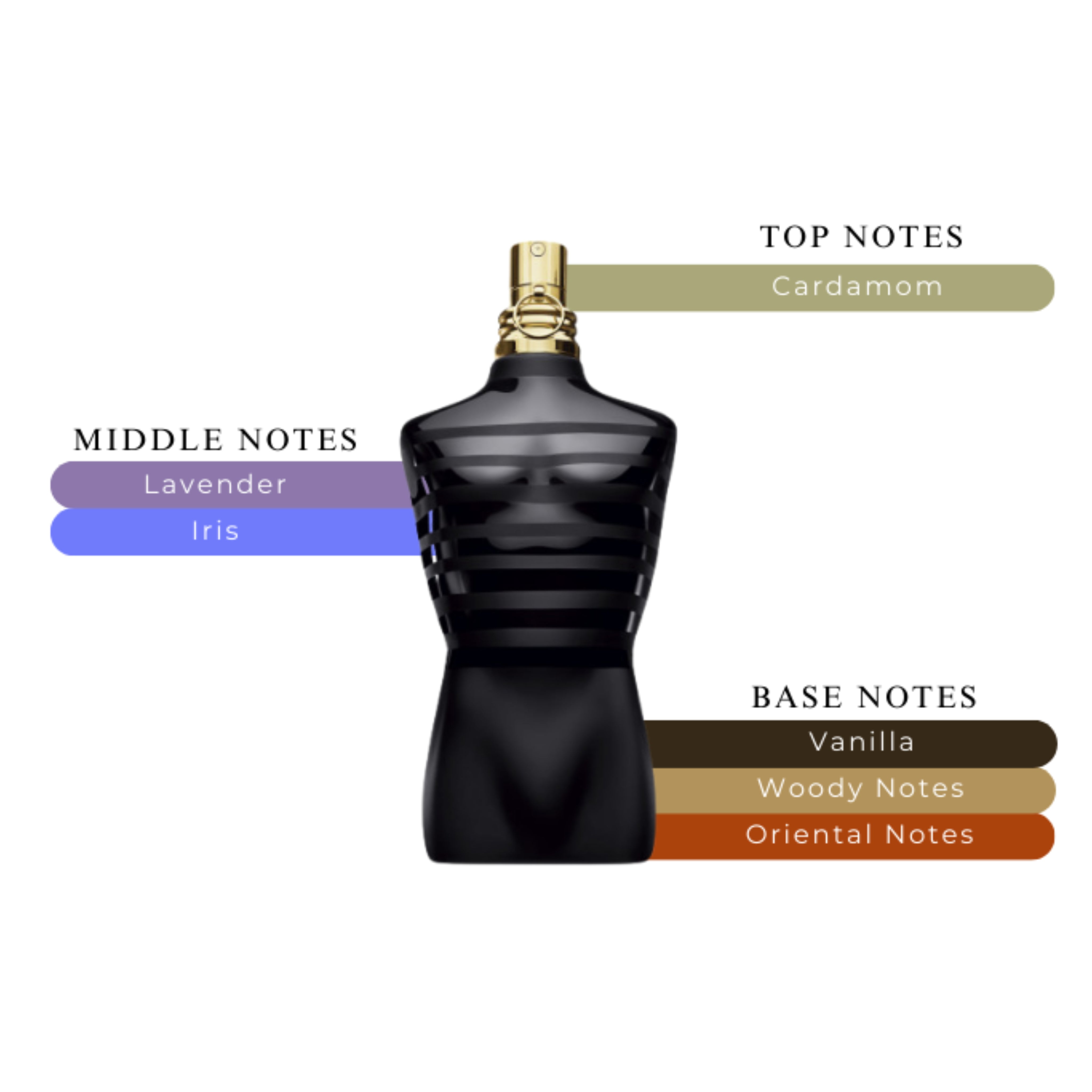 Jean Paul Gaultier Le Male